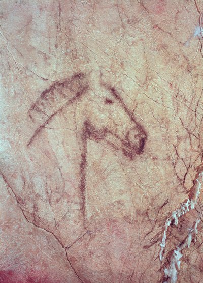 Cabeça de um cavalo, da Cueva de la Peña de Candamo San Roman (pintura rupestre) de Paleolithic