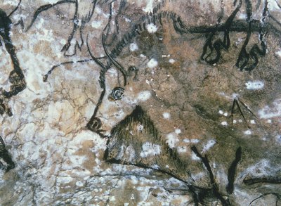 Touro ferido, pintura rupestre, magdaleniano (pintura rupestre) de Paleolithic Paleolithic