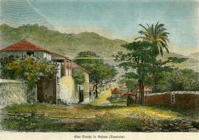 Uma rua em Roseau, Dominica, c1880. de Pann