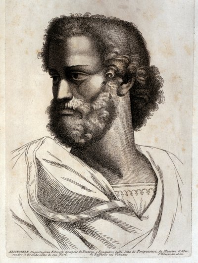 ARISTOTLE de Paolo Fidanza