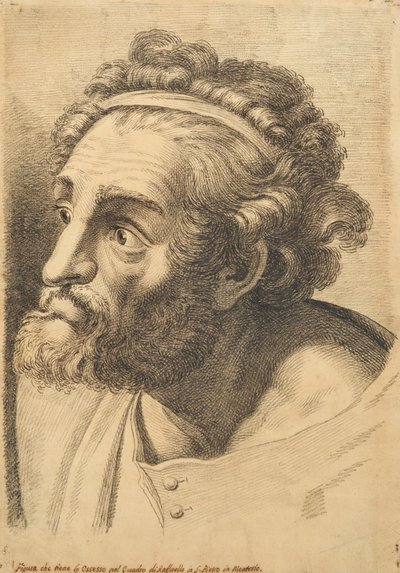 Cabeça de um homem de barba, de 42 Studies of Heads after Raphael de Paolo Fidanza