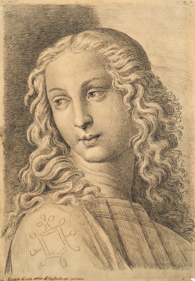 Cabeça de uma mulher, de 42 Estudos de Cabeças após Raphael de Paolo Fidanza