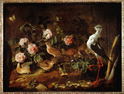 Natureza-morta com coruja e íbis - Nature morte avec une chouette et un ibis ... de Paolo Porpora