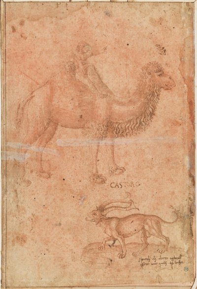 Ein Kamel mit einem reitenden Kind. Darunter ein fabelhaftes Tier (Castoro) de Paolo Uccello