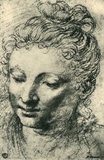 Cabeça de uma mulher olhando para baixo, meados do século XVI, 1943. de Paolo Veronese