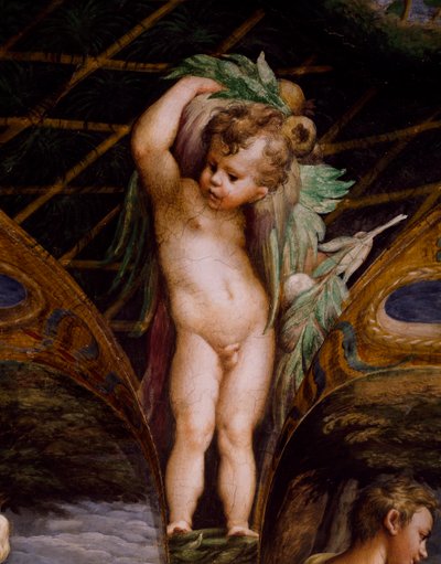 Putto, de Mito de Diana e Actaeon de Parmigianino