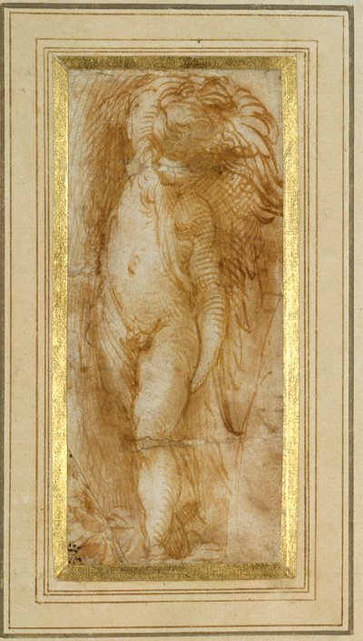 Um putto virado para a esquerda (caneta e tinta castanha sobre papel) de Parmigianino