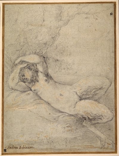 Uma acetinada adormecida debaixo de uma árvore (giz preto com altura na cor branca do corpo na carta azzurra) de Parmigianino