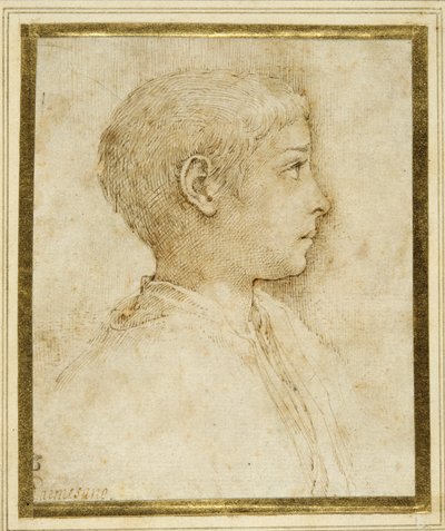 Busto de um rapaz de perfil à direita (caneta e tinta castanha sobre papel branco) de Parmigianino