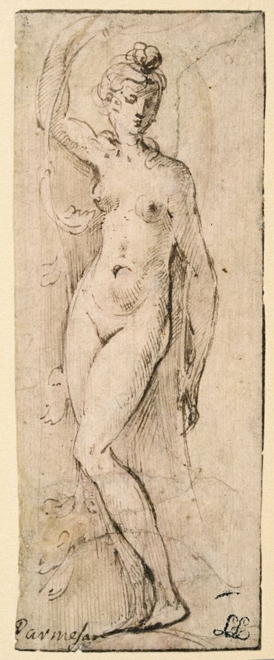 Figura feminina - estudo para Santa Maria della Steccata, Parma (reto) de Parmigianino