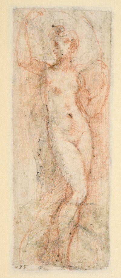 Figura feminina - estudo para a Steccata (verso) de Parmigianino
