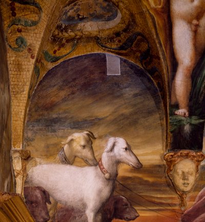 Grupo de cães, de Mito de Diana e Actaeon de Parmigianino
