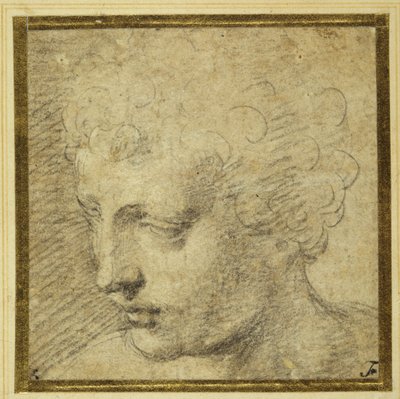 Cabeça de um menino, quase de perfil à esquerda (giz preto sobre papel tingido) de Parmigianino