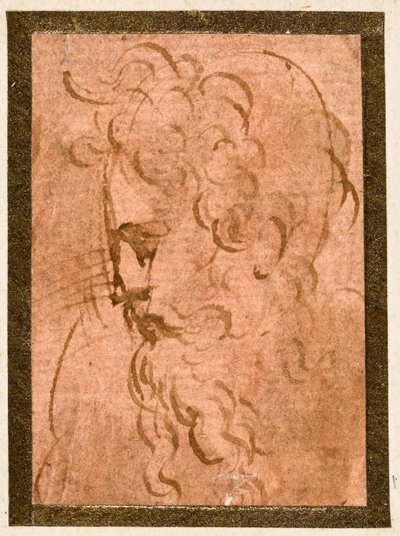 Cabeça masculina de Parmigianino