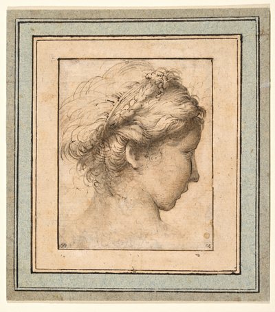 Cabeça de perfil de uma rapariga que olha para a direita de Parmigianino
