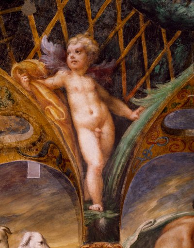 Putto, de Mito de Diana e Actaeon de Parmigianino