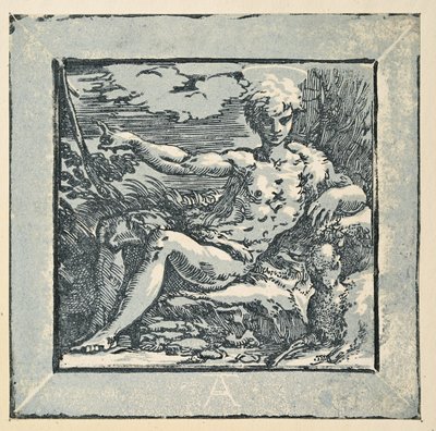 São João Batista no deserto de Parmigianino