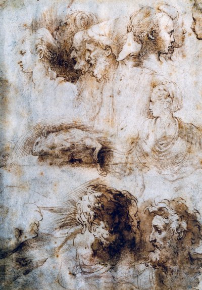 Estudo para um rato morto, perfis masculino e feminino de Parmigianino