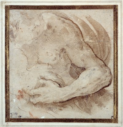 Estudo do braço esquerdo, peito e cabeça de um homem barbado (caneta e tinta marrom com giz vermelho sobre papel creme) de Parmigianino