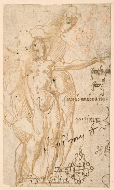 Estudo de três figuras nuas (reto) de Parmigianino