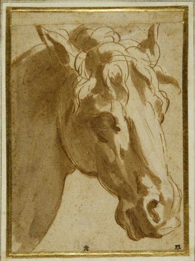 A cabeça e o pescoço de um cavalo (caneta e tinta castanha com lavagem em papel creme) de Parmigianino