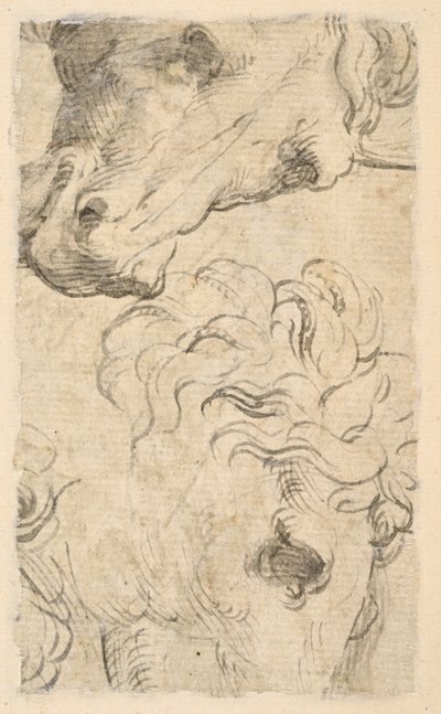 Dois estudos de cabeças de cavalos (fragmento) (verso) de Parmigianino