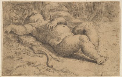 Cupido dormindo, século XVI. de Parmigianino