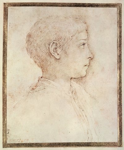Cabeça de menino de Parmigianino