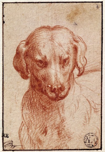 Cabeça de um cachorro (giz vermelho sobre papel) de Parmigianino