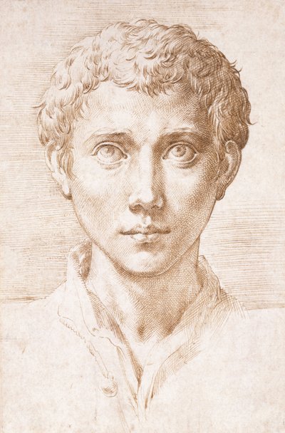 Cabeça de um jovem olhando para cima, de Parmigianino
