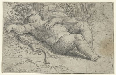 Cupido Adormecido de Parmigianino