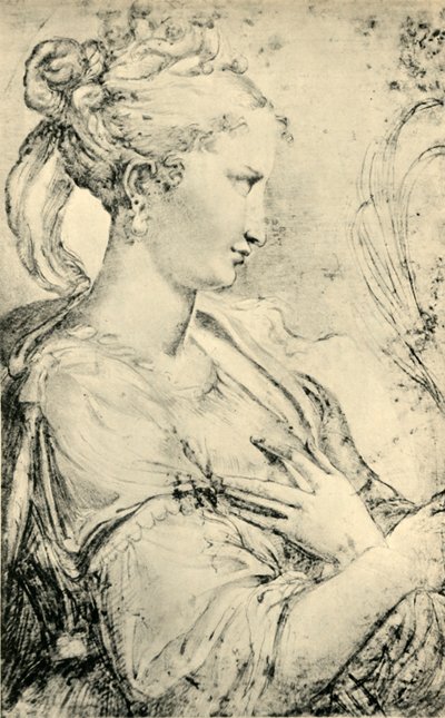 Estudo de Santa Catarina, c1530-1540, 1943. de Parmigianino