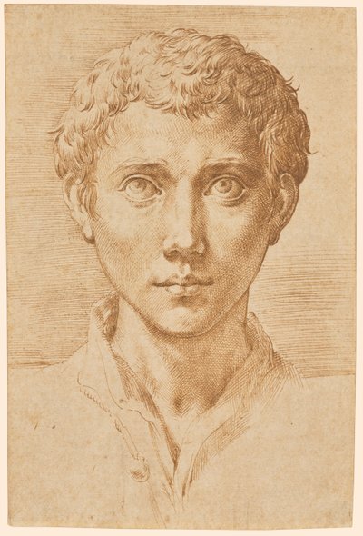 A cabeça de um jovem de Parmigianino