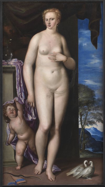 Vênus e Cupido de Parrasio Micheli