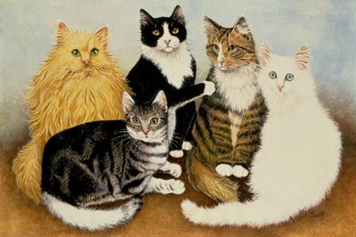 Berço do gato de Pat Scott