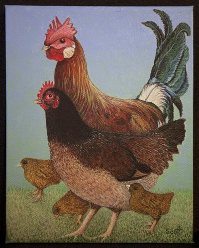 Família Chicken, 2016 de Pat Scott