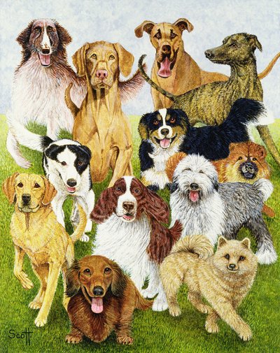 Dias de cão (óleo sobre tela) de Pat Scott