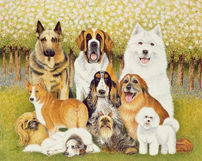 Cães em maio de Pat Scott