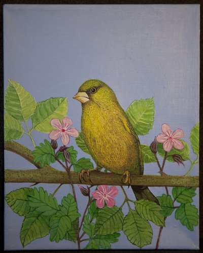 Pintassilgo, 2016 de Pat Scott