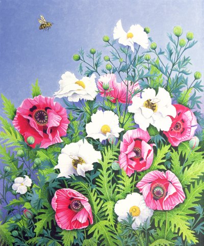 Honey Bee, Honey Bee (óleo sobre tela) de Pat Scott