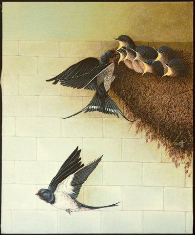 Hungry Mouths, 2011 (acrílico sobre chita) de Pat Scott