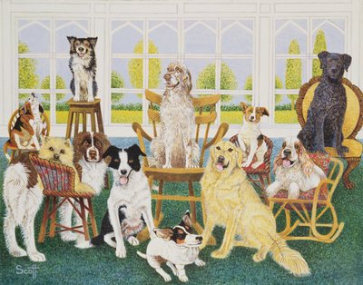 Na casa do cão de Pat Scott