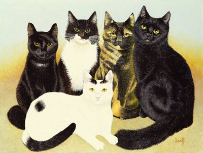 Os gatos de Miss Cox de Pat Scott