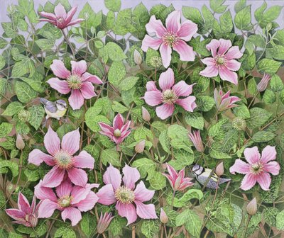 Nidificação em Clematis (óleo sobre tela) de Pat Scott