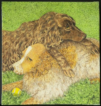 Posse de Pat Scott