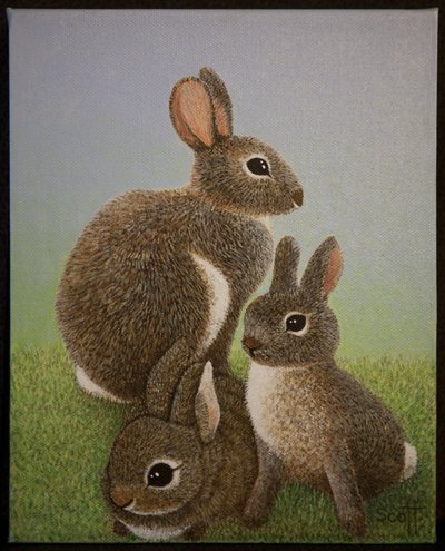 Família Rabbit, 2016 de Pat Scott