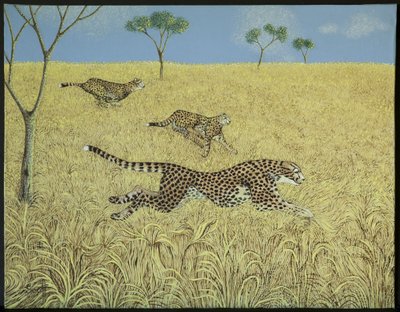 Velocidade pura de Pat Scott