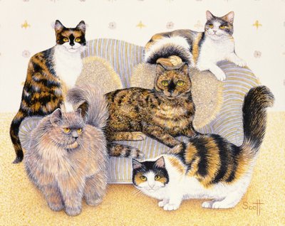 Senhoras em forma de tartaruga de Pat Scott
