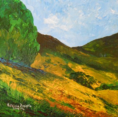 Morne La Selle, 2015 (acrílico sobre tela) de Patricia Brintle