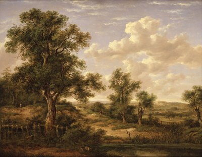 Charneca perto de Godstone de Patrick Nasmyth